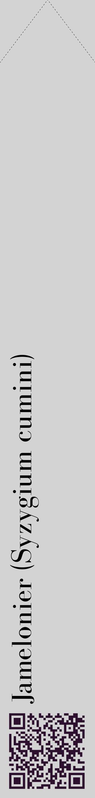 Étiquette de : Syzygium cumini - format c - style noire56_simplebod avec qrcode et comestibilité