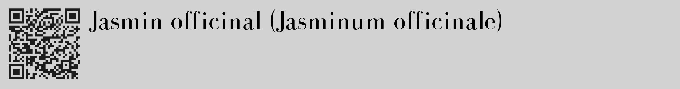 Étiquette de : Jasminum officinale - format c - style noire14_basique_basiquebod avec qrcode et comestibilité