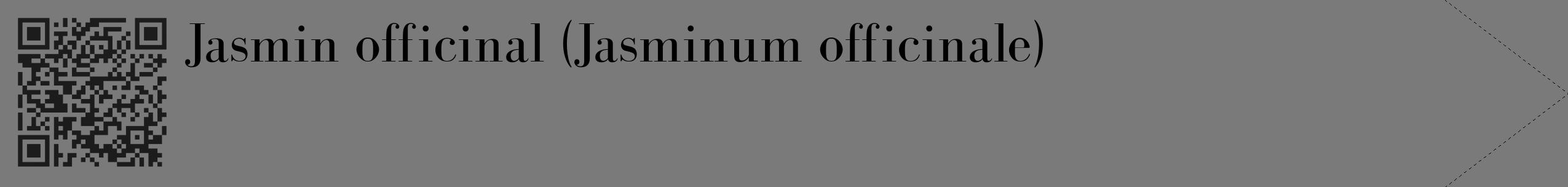 Étiquette de : Jasminum officinale - format c - style noire3_simple_simplebod avec qrcode et comestibilité