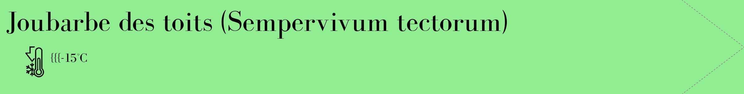 Étiquette de : Sempervivum tectorum - format c - style noire15_simple_simplebod avec comestibilité