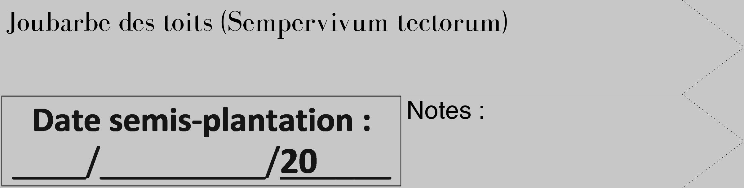 Étiquette de : Sempervivum tectorum - format c - style noire15_simple_simplebod avec comestibilité
