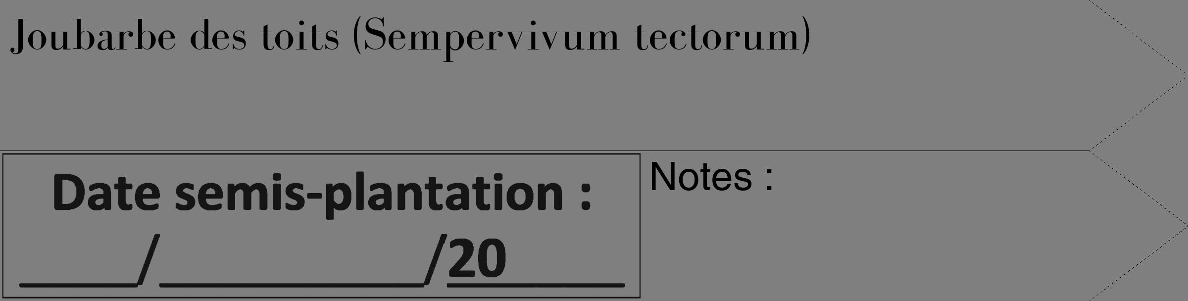Étiquette de : Sempervivum tectorum - format c - style noire31_simple_simplebod avec comestibilité