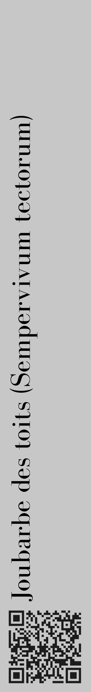 Étiquette de : Sempervivum tectorum - format c - style noire15_basique_basiquebod avec qrcode et comestibilité - position verticale