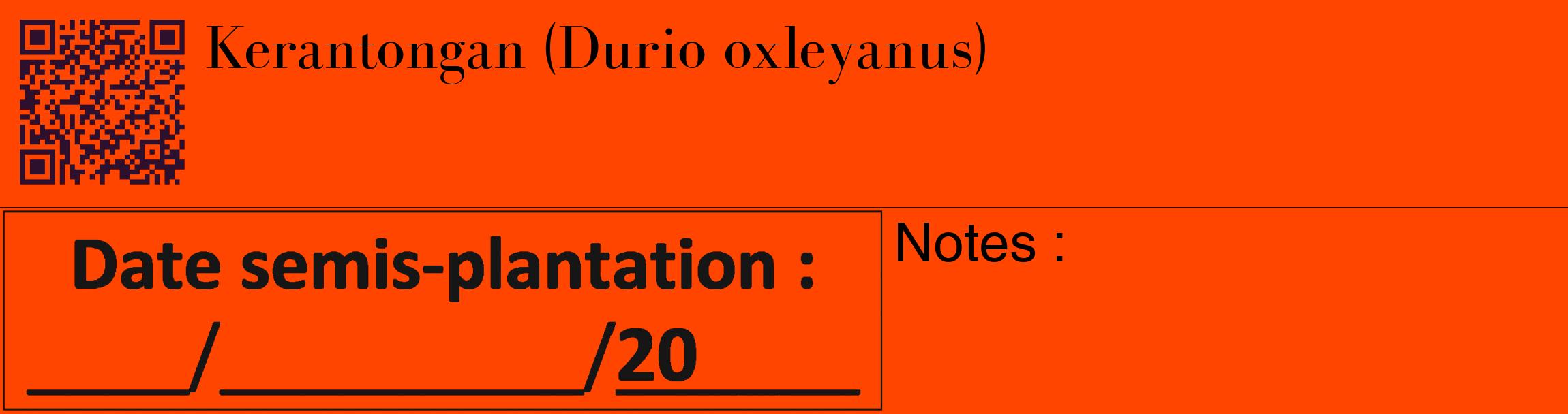 Étiquette de : Durio oxleyanus - format c - style noire26_basique_basiquebod avec qrcode et comestibilité