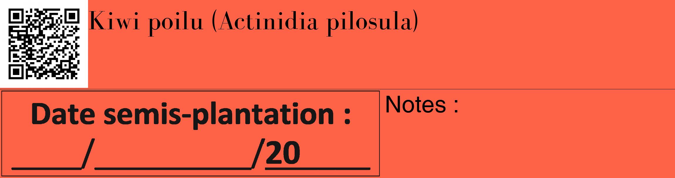 Étiquette de : Actinidia pilosula - format c - style noire25_basique_basiquebod avec qrcode et comestibilité