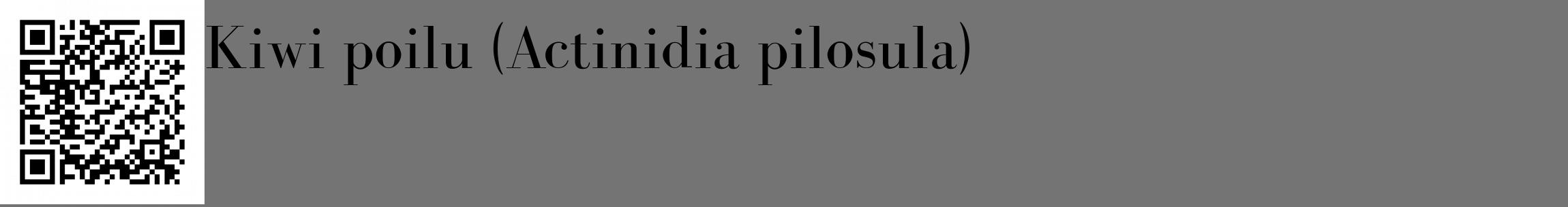 Étiquette de : Actinidia pilosula - format c - style noire26_basique_basiquebod avec qrcode et comestibilité