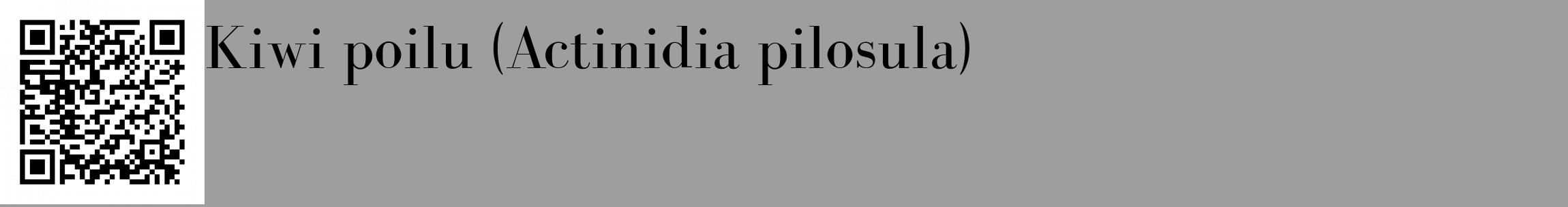 Étiquette de : Actinidia pilosula - format c - style noire42_basique_basiquebod avec qrcode et comestibilité