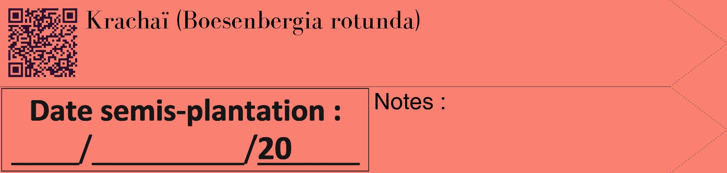 Étiquette de : Boesenbergia rotunda - format c - style noire38_simple_simplebod avec qrcode et comestibilité