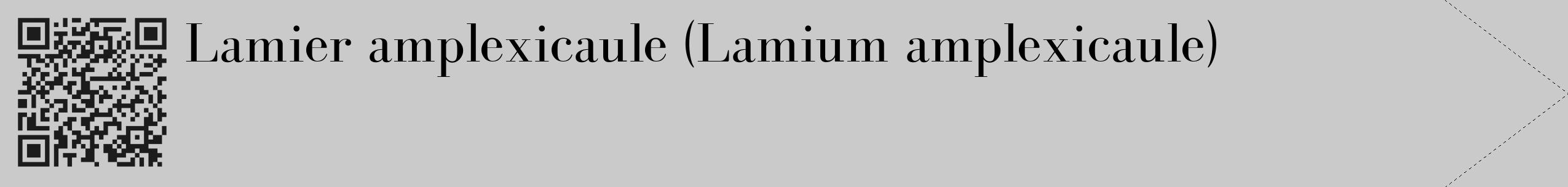 Étiquette de : Lamium amplexicaule - format c - style noire21_simple_simplebod avec qrcode et comestibilité