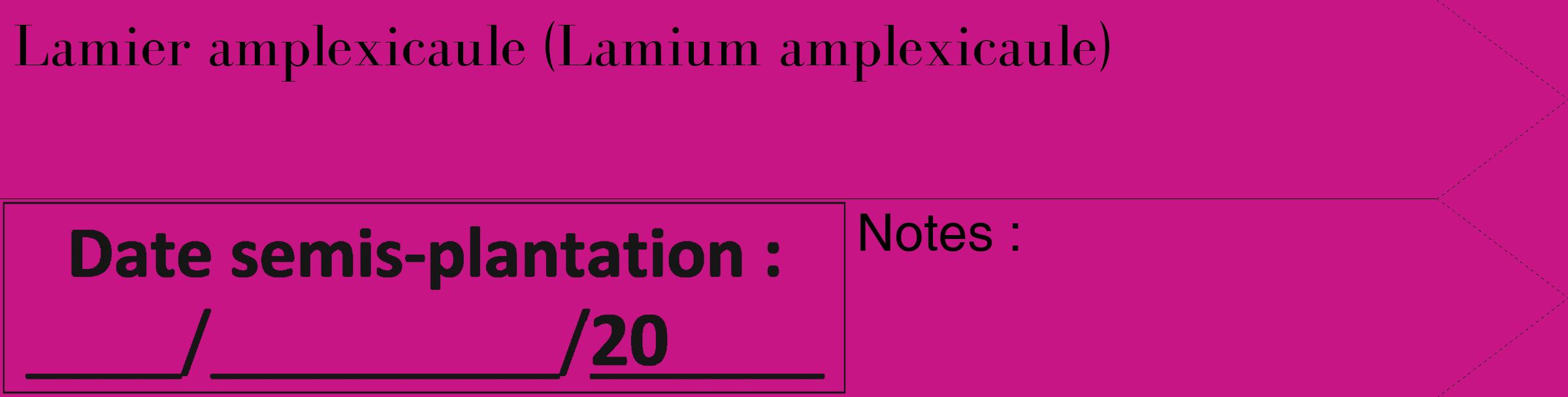 Étiquette de : Lamium amplexicaule - format c - style noire45_simple_simplebod avec comestibilité