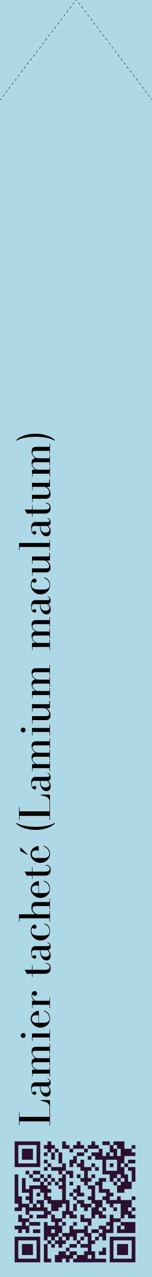 Étiquette de : Lamium maculatum - format c - style noire0_simplebod avec qrcode et comestibilité