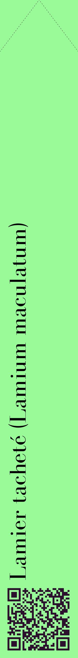 Étiquette de : Lamium maculatum - format c - style noire14_simplebod avec qrcode et comestibilité