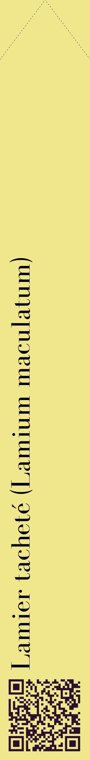 Étiquette de : Lamium maculatum - format c - style noire20_simplebod avec qrcode et comestibilité