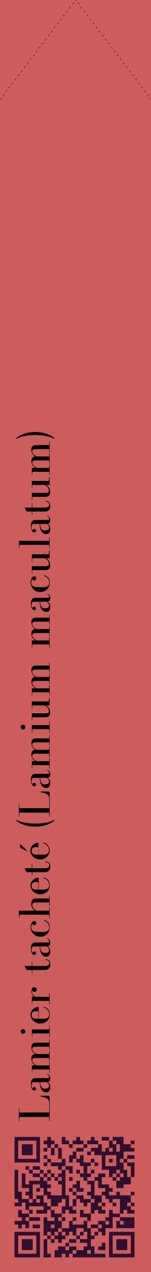 Étiquette de : Lamium maculatum - format c - style noire35_simplebod avec qrcode et comestibilité