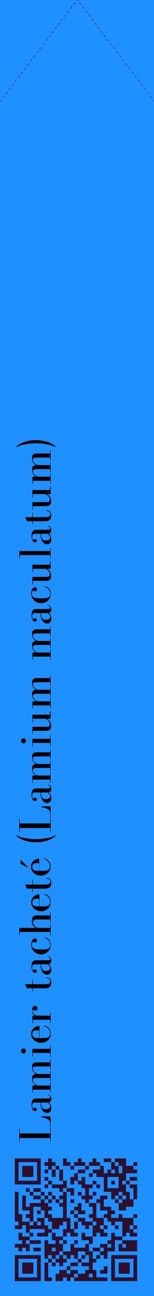 Étiquette de : Lamium maculatum - format c - style noire3_simplebod avec qrcode et comestibilité