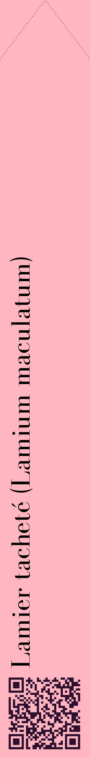 Étiquette de : Lamium maculatum - format c - style noire41_simplebod avec qrcode et comestibilité