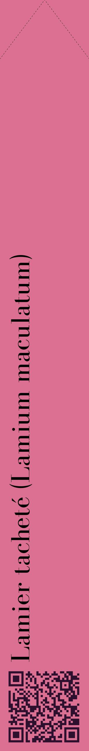 Étiquette de : Lamium maculatum - format c - style noire44_simplebod avec qrcode et comestibilité