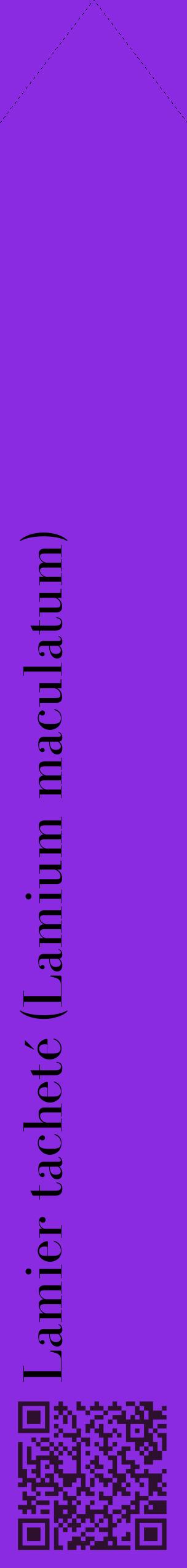 Étiquette de : Lamium maculatum - format c - style noire49_simplebod avec qrcode et comestibilité