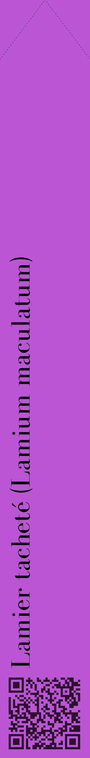 Étiquette de : Lamium maculatum - format c - style noire50_simplebod avec qrcode et comestibilité