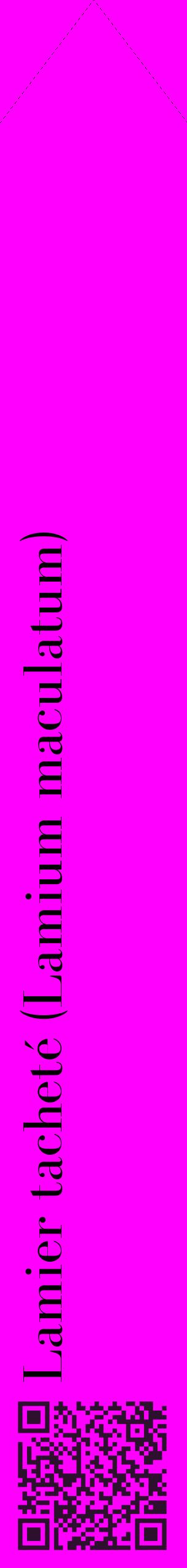 Étiquette de : Lamium maculatum - format c - style noire51_simplebod avec qrcode et comestibilité