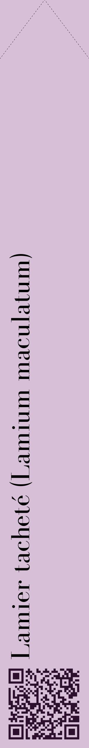 Étiquette de : Lamium maculatum - format c - style noire54_simplebod avec qrcode et comestibilité