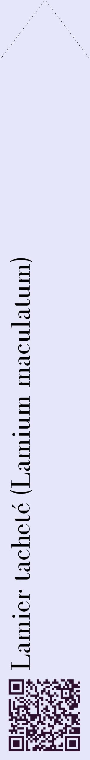 Étiquette de : Lamium maculatum - format c - style noire55_simplebod avec qrcode et comestibilité