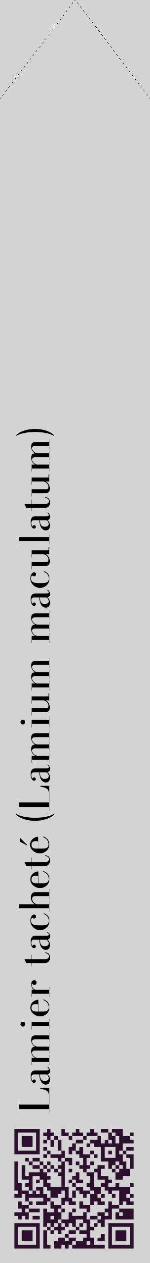 Étiquette de : Lamium maculatum - format c - style noire56_simplebod avec qrcode et comestibilité
