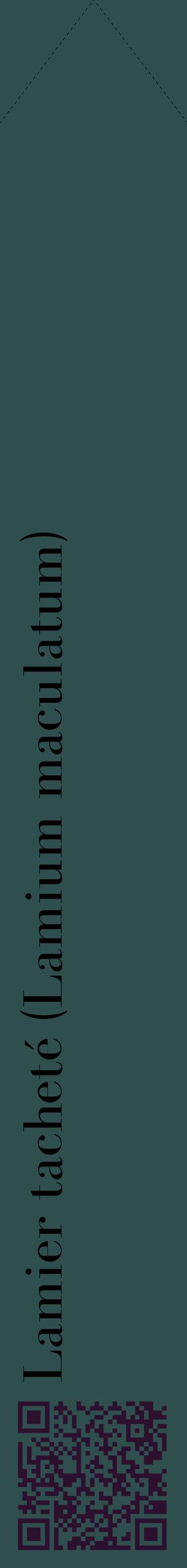 Étiquette de : Lamium maculatum - format c - style noire58_simplebod avec qrcode et comestibilité