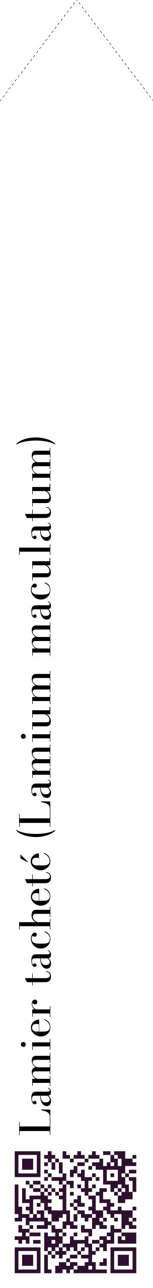 Étiquette de : Lamium maculatum - format c - style noire60_simplebod avec qrcode et comestibilité