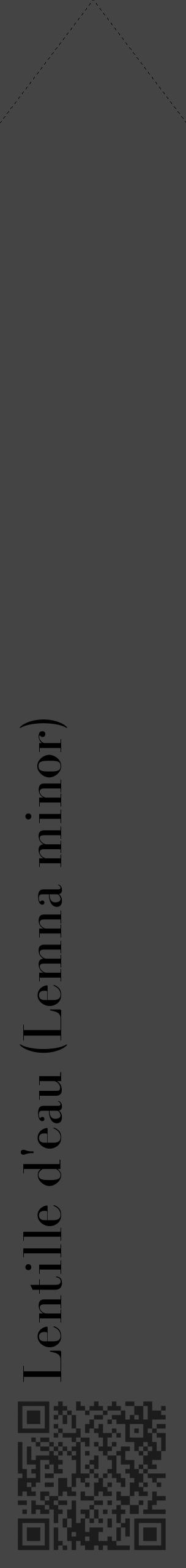 Étiquette de : Lemna minor - format c - style noire48_simple_simplebod avec qrcode et comestibilité - position verticale