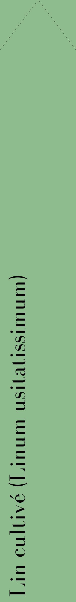 Étiquette de : Linum usitatissimum - format c - style noire13_simplebod avec comestibilité