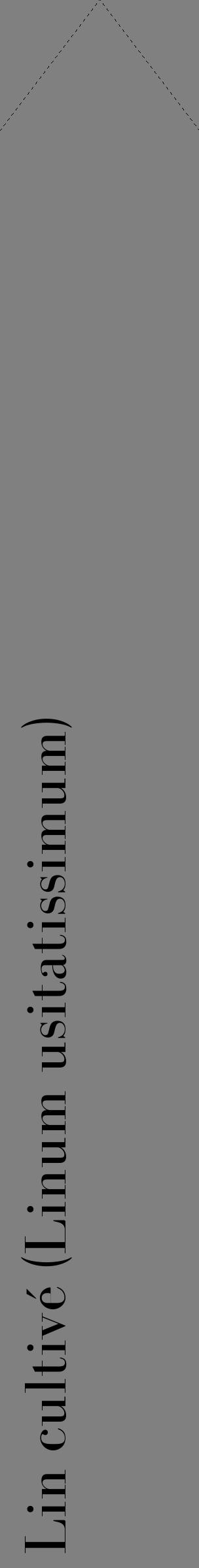 Étiquette de : Linum usitatissimum - format c - style noire57_simplebod avec comestibilité