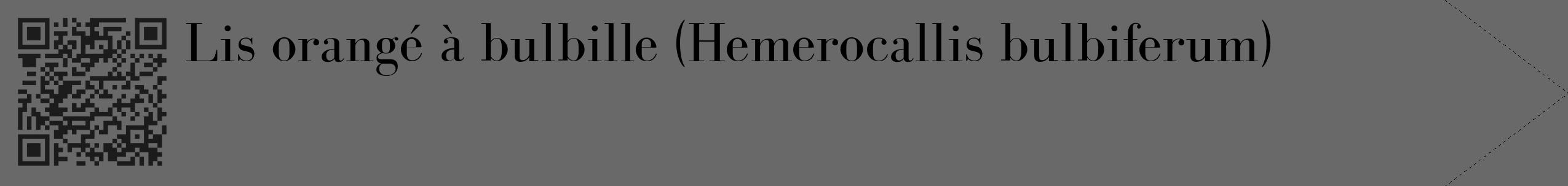 Étiquette de : Hemerocallis bulbiferum - format c - style noire11_simple_simplebod avec qrcode et comestibilité