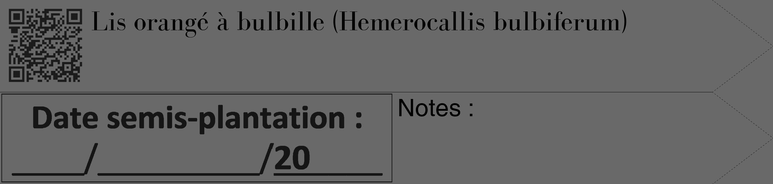 Étiquette de : Hemerocallis bulbiferum - format c - style noire11_simple_simplebod avec qrcode et comestibilité