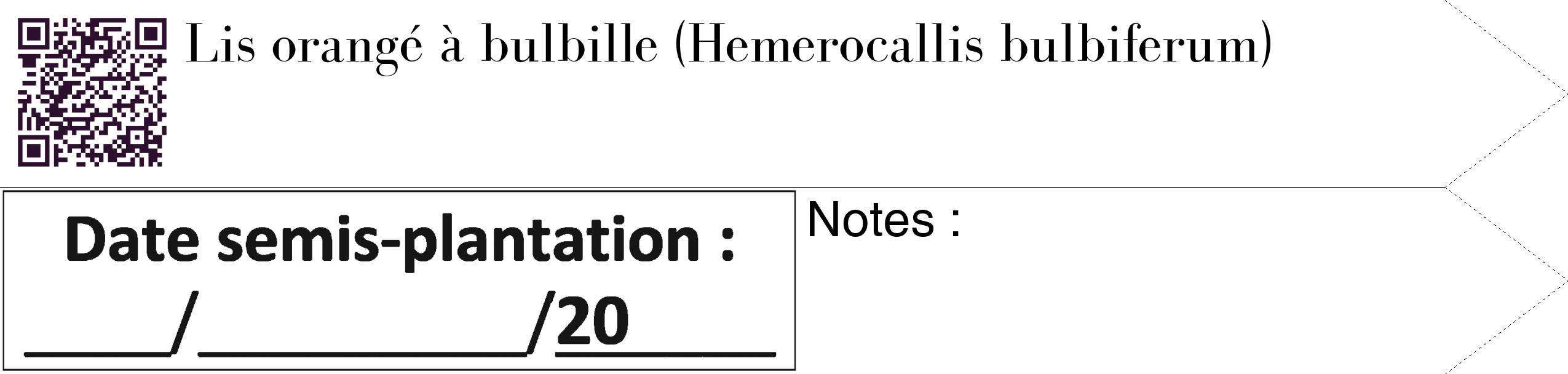 Étiquette de : Hemerocallis bulbiferum - format c - style noire60_simple_simplebod avec qrcode et comestibilité