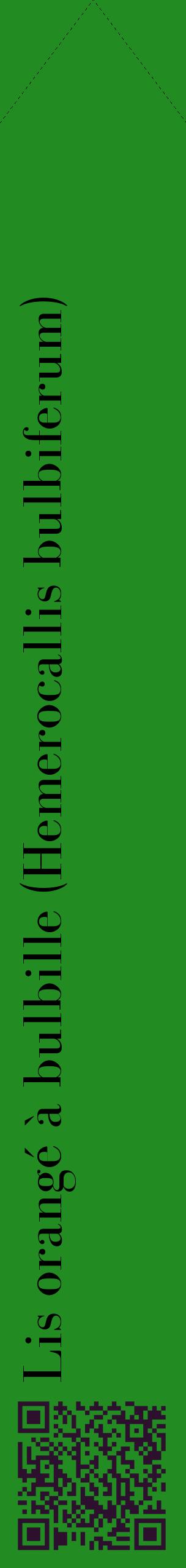 Étiquette de : Hemerocallis bulbiferum - format c - style noire10_simplebod avec qrcode et comestibilité