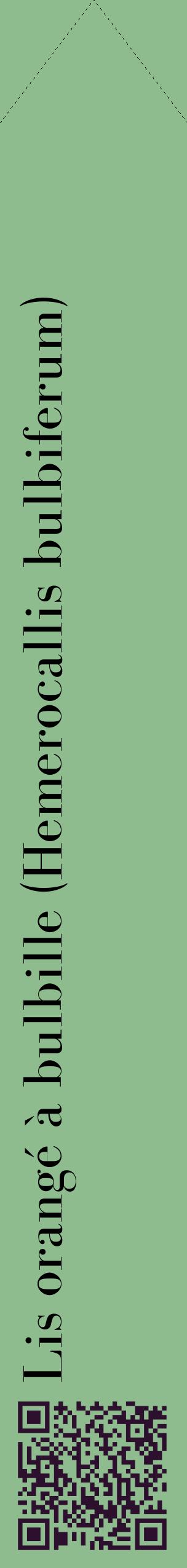 Étiquette de : Hemerocallis bulbiferum - format c - style noire13_simplebod avec qrcode et comestibilité