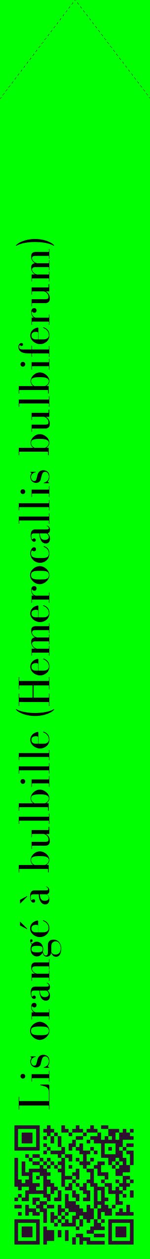 Étiquette de : Hemerocallis bulbiferum - format c - style noire16_simplebod avec qrcode et comestibilité