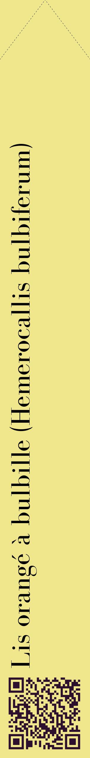 Étiquette de : Hemerocallis bulbiferum - format c - style noire20_simplebod avec qrcode et comestibilité