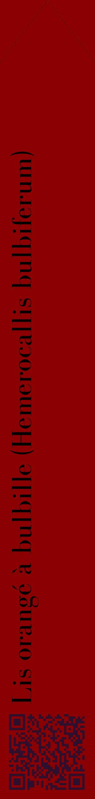 Étiquette de : Hemerocallis bulbiferum - format c - style noire34_simplebod avec qrcode et comestibilité