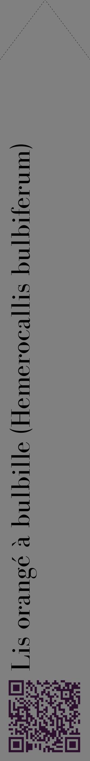Étiquette de : Hemerocallis bulbiferum - format c - style noire57_simplebod avec qrcode et comestibilité