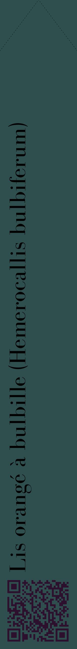 Étiquette de : Hemerocallis bulbiferum - format c - style noire58_simplebod avec qrcode et comestibilité