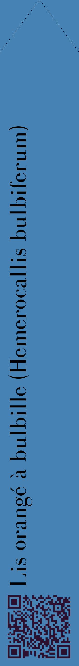 Étiquette de : Hemerocallis bulbiferum - format c - style noire5_simplebod avec qrcode et comestibilité