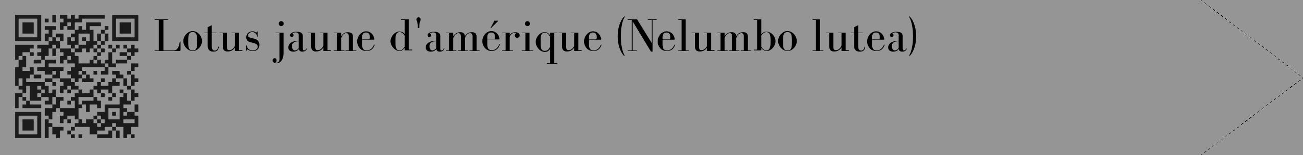 Étiquette de : Nelumbo lutea - format c - style noire16_simple_simplebod avec qrcode et comestibilité