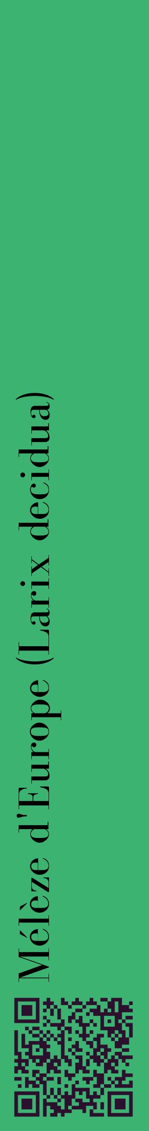 Étiquette de : Larix decidua - format c - style noire12_basiquebod avec qrcode et comestibilité