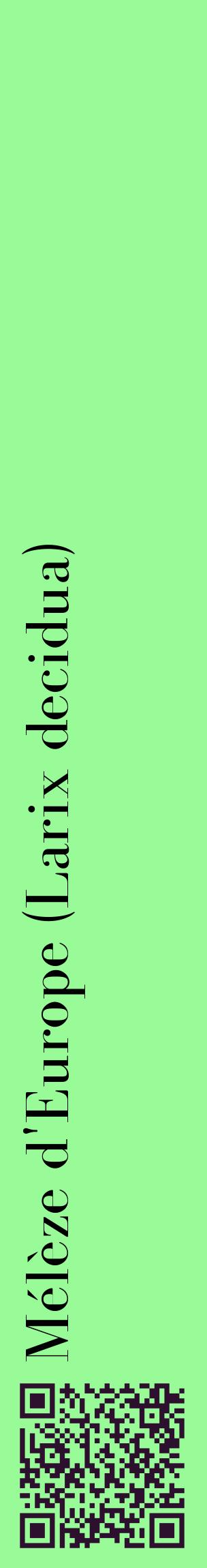 Étiquette de : Larix decidua - format c - style noire14_basiquebod avec qrcode et comestibilité
