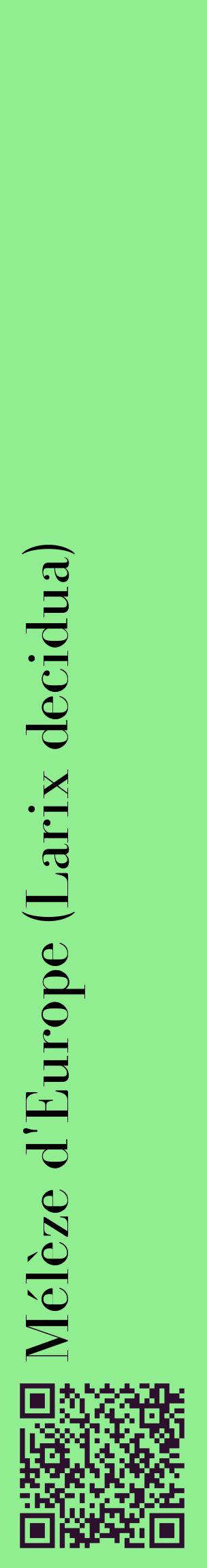 Étiquette de : Larix decidua - format c - style noire15_basiquebod avec qrcode et comestibilité