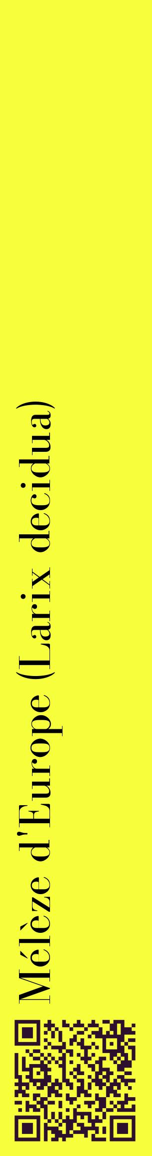 Étiquette de : Larix decidua - format c - style noire18_basiquebod avec qrcode et comestibilité