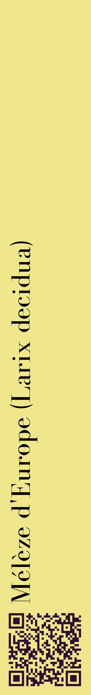 Étiquette de : Larix decidua - format c - style noire20_basiquebod avec qrcode et comestibilité