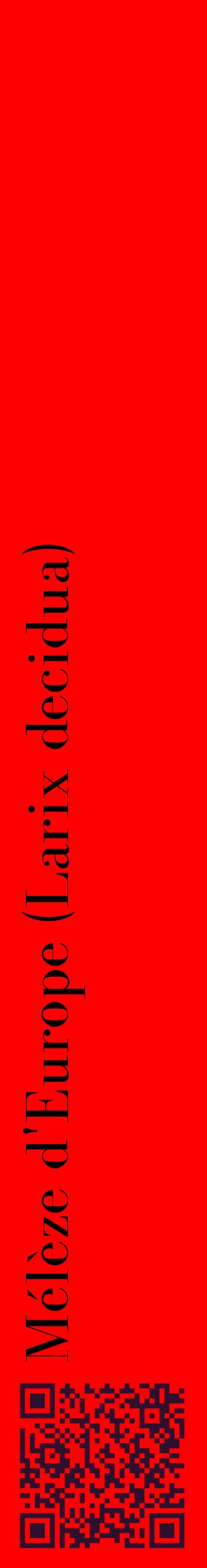 Étiquette de : Larix decidua - format c - style noire27_basiquebod avec qrcode et comestibilité